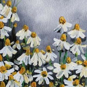 Meet your Posher, Tara